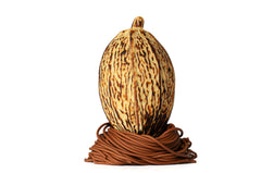 Easter Egg POD- Roasted Durian