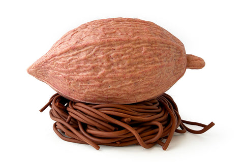 POD- Rhubarb Panna Cotta on a chocolate nest