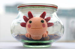 Memo the baby axolotl