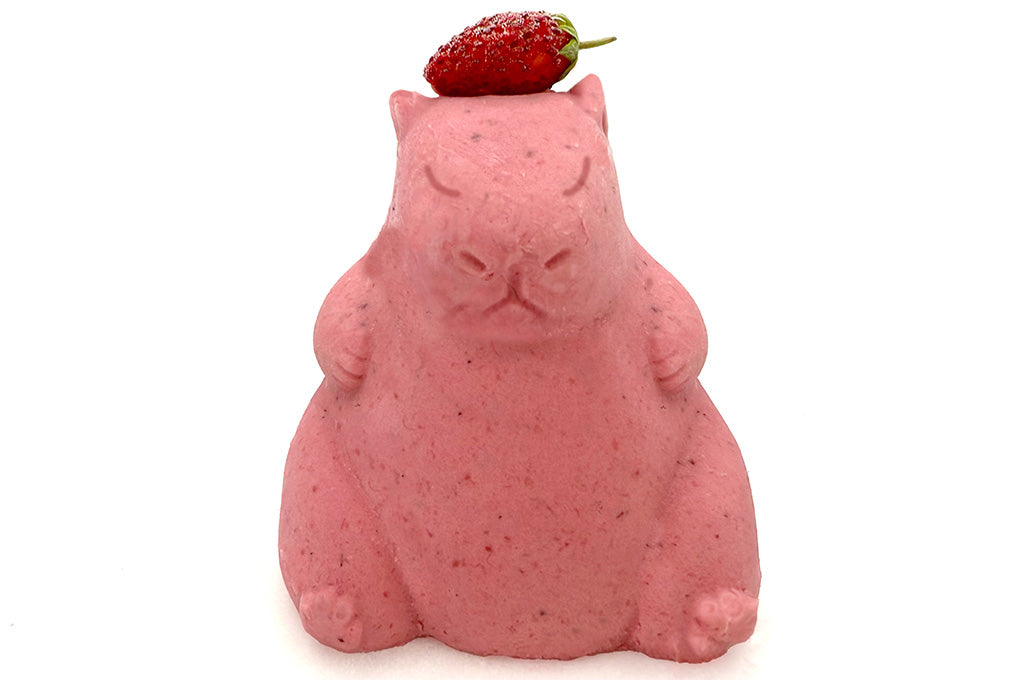 Capybara-Malwina Strawberry *factory exclusive