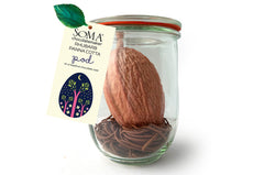 POD- Rhubarb Panna Cotta on a chocolate nest