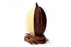 POD- Cacao fruit + dark chocolate on a chocolate nest