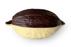 POD- Cacao fruit + dark chocolate on a chocolate nest