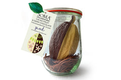 POD- Cacao fruit + dark chocolate on a chocolate nest