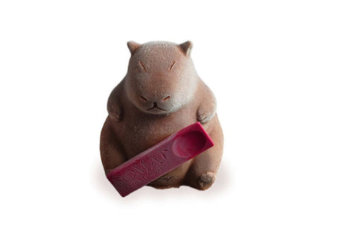 Capybara-Dark Chocolate & Raspberry