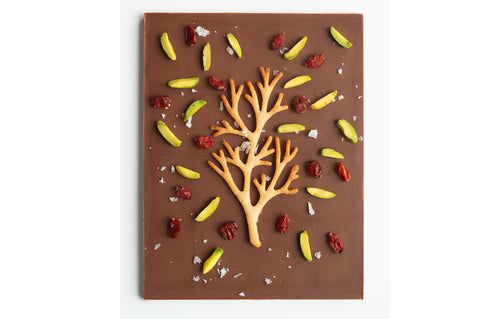 Spark of Joy bar