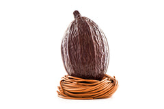 Dark Chocolate POD- Mbingu on a chocolate nest