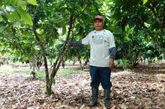 Ucayali, Peru, 70%