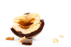 Piedmont Hazelnuts tumbled in Dark chocolate