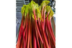Strawberry forced Rhubarb Sorbet