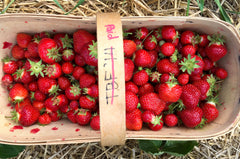 Strawberry forced Rhubarb Sorbet