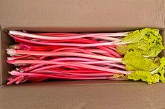 Niagara Strawberry & forced Rhubarb Gelato *factory exclusive