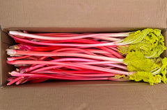 Malwina Strawberry & forced Rhubarb Gelato *factory exclusive