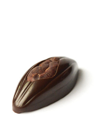 Roasted Cacao Bean