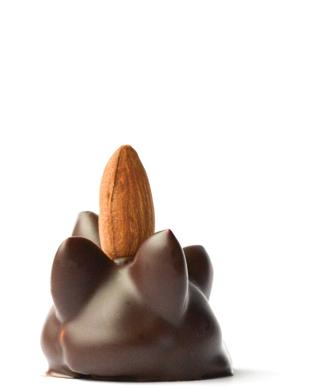 Almond Cluster Dark